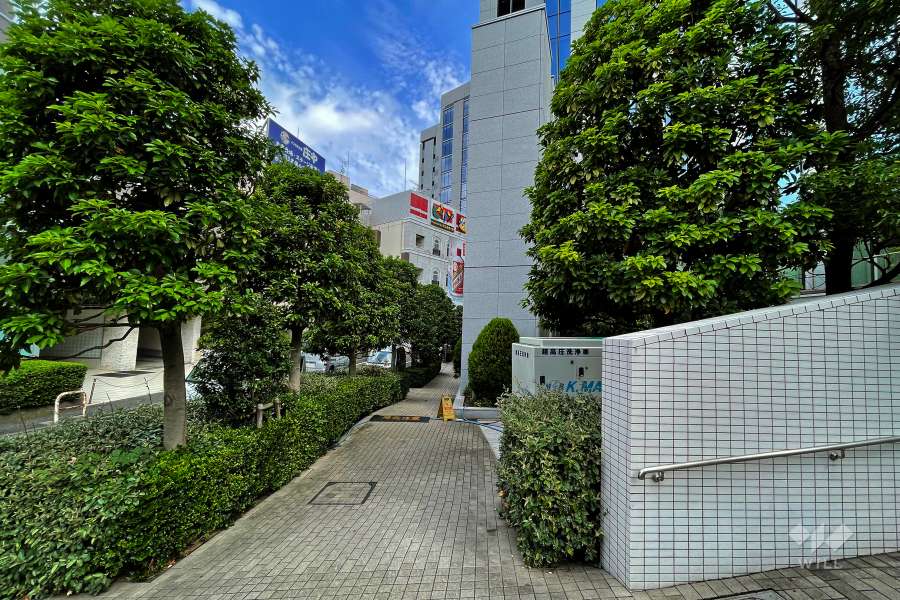 敷地西側の通路（南側から）