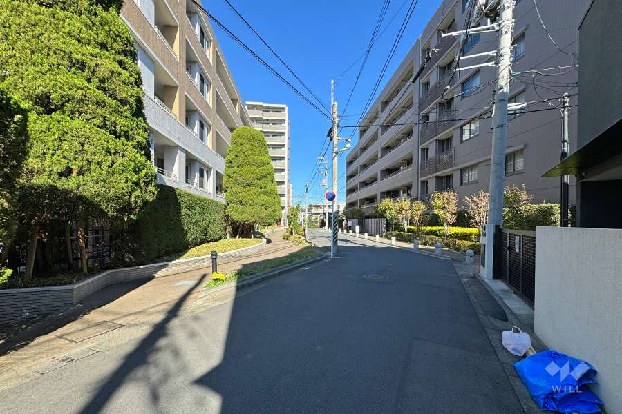 敷地東側の前面道路