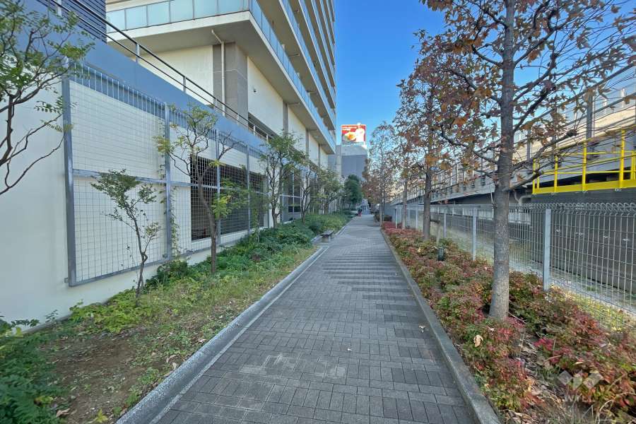 敷地東側の通路