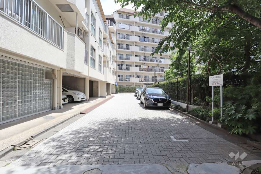 敷地南西側の前面道路