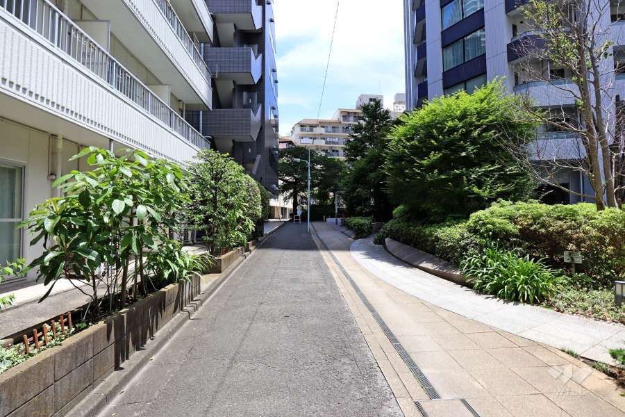 敷地北西側の前面道路