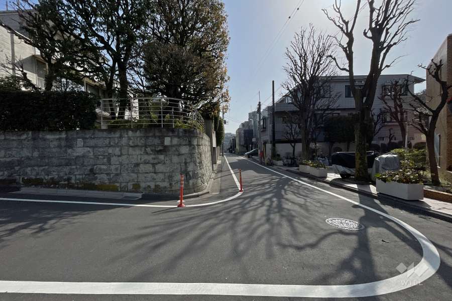 敷地北側の前面道路（西側から）