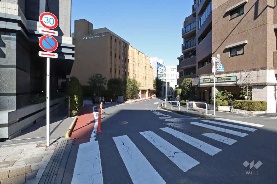 敷地西側の前面道路（南側から）