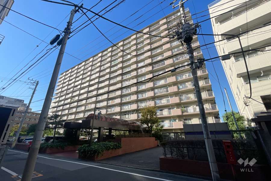 ルネ東品川の外観（南東側から）　