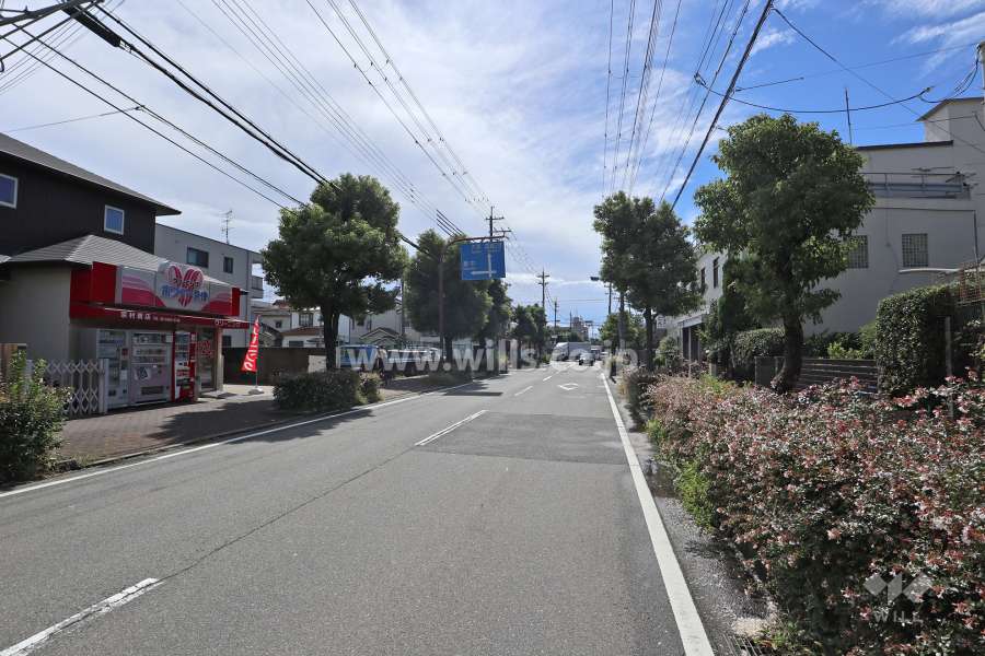 敷地東側の前面道路(北側から)