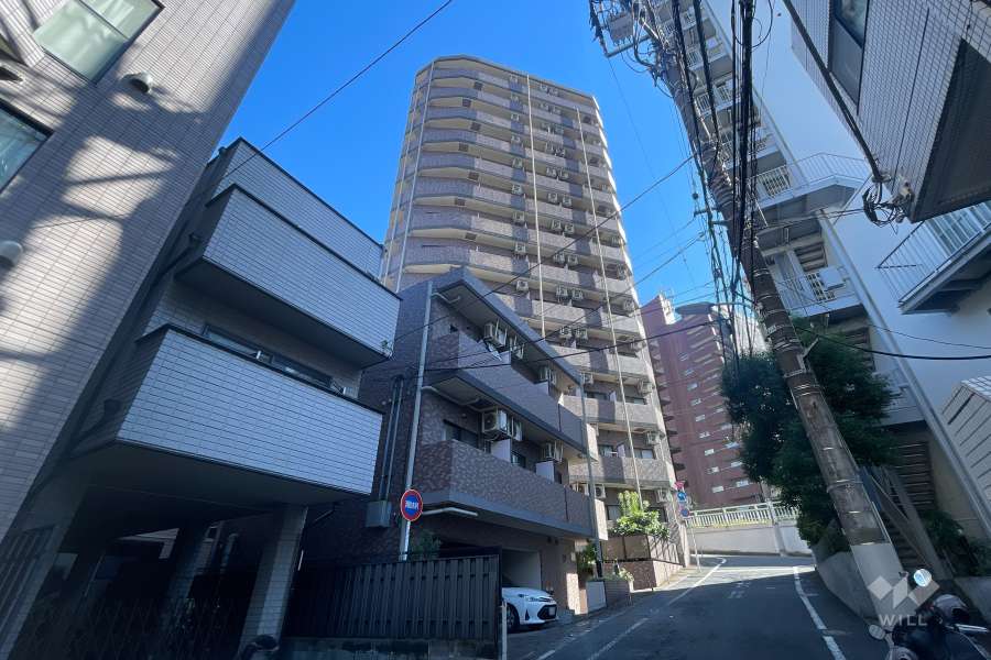 菱和パレス高輪台の外観(西側から)