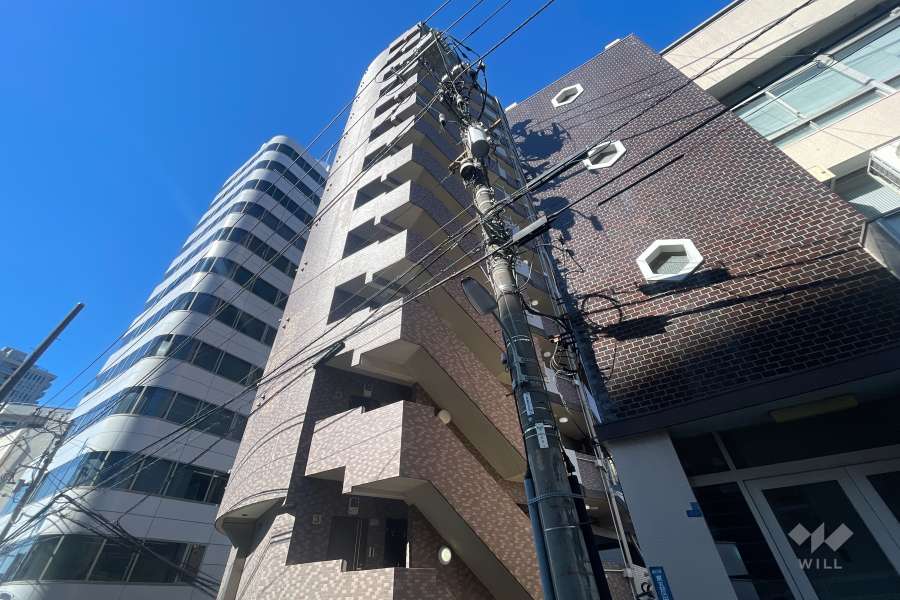 菱和パレス高輪台の外観(東側から)