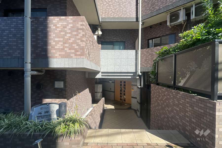 エントランスアプローチ