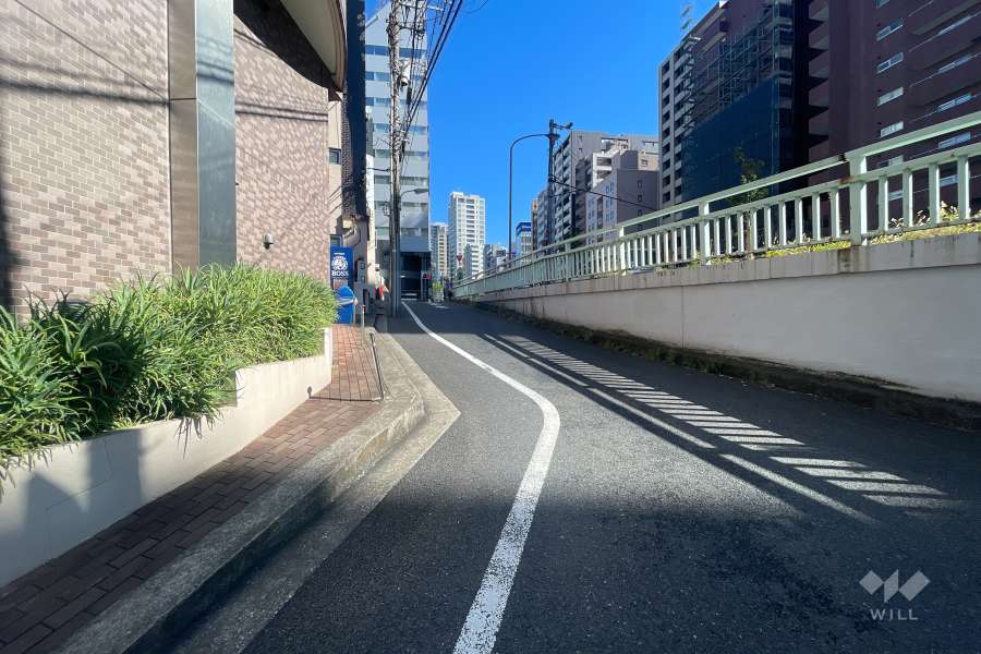 敷地南東側の前面道路(南西側から)