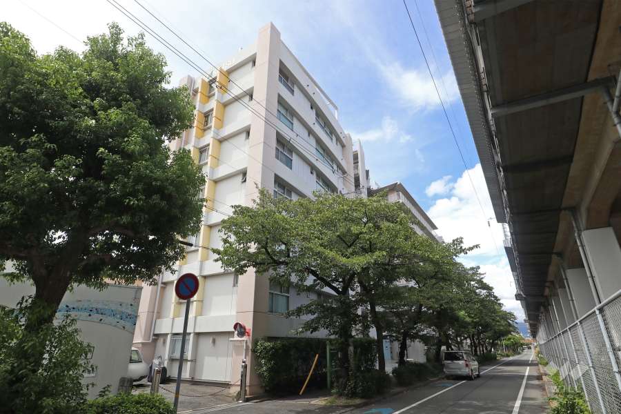 パレ北武庫之荘4の外観(北東側から)