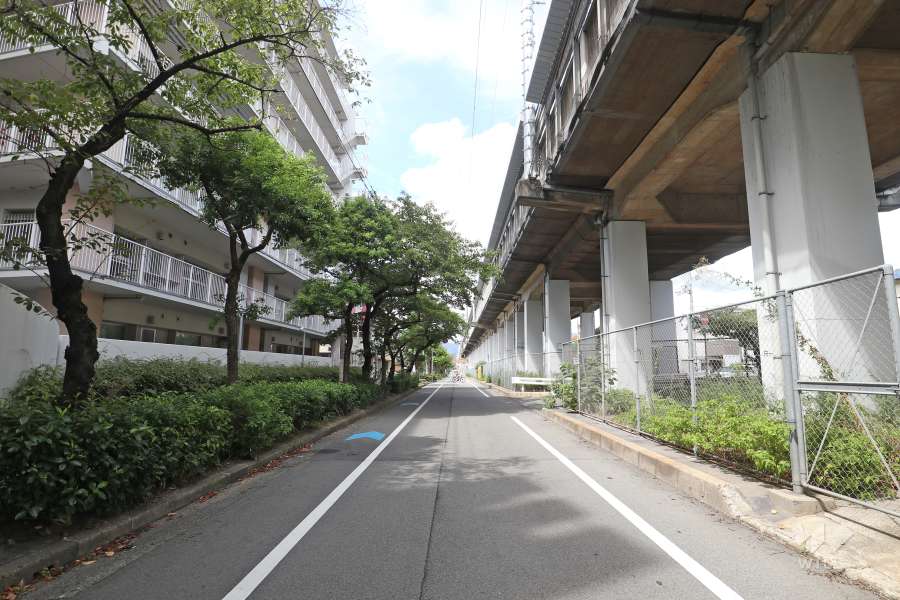 敷地北側の前面道路(東側から)