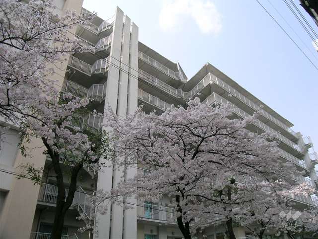 パレ北武庫之荘4の外観（北側から）