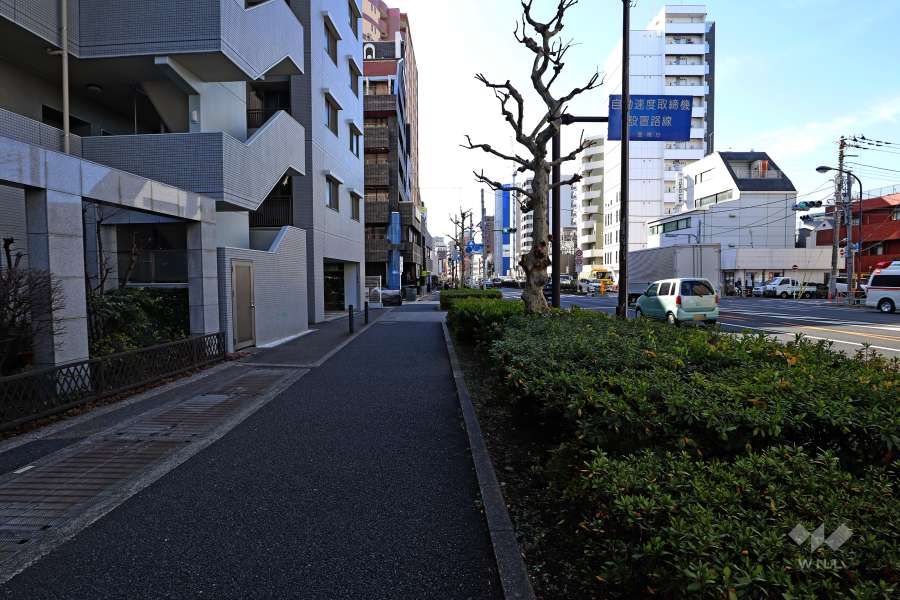 敷地西側の前面道路