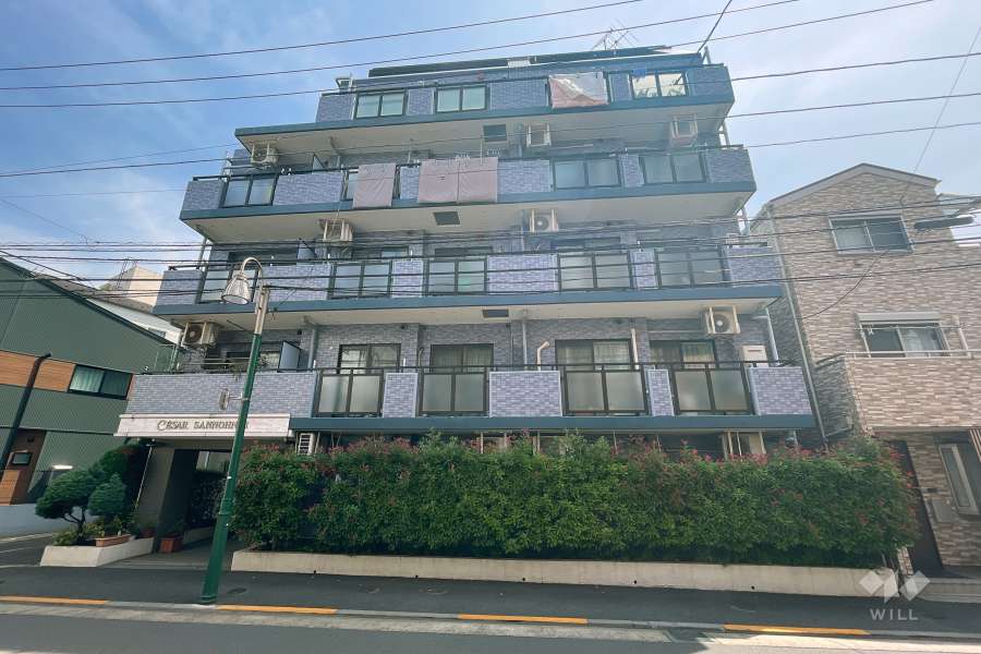 セザール山王西の外観（南西側から）