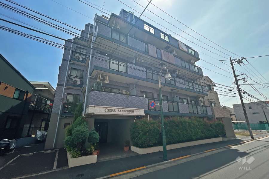 セザール山王西の外観（北西側から）