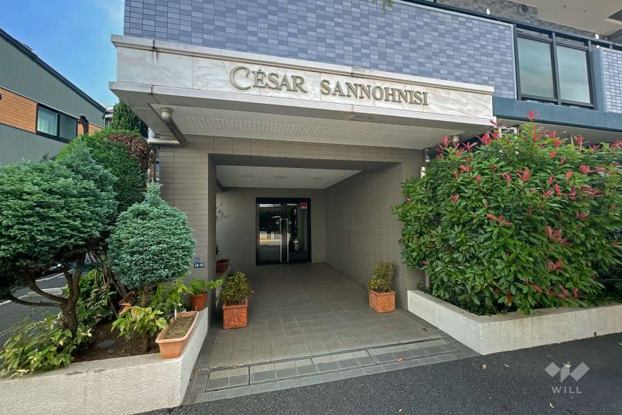 エントランスアプローチ