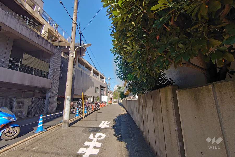 敷地西側の前面道路（南側から）