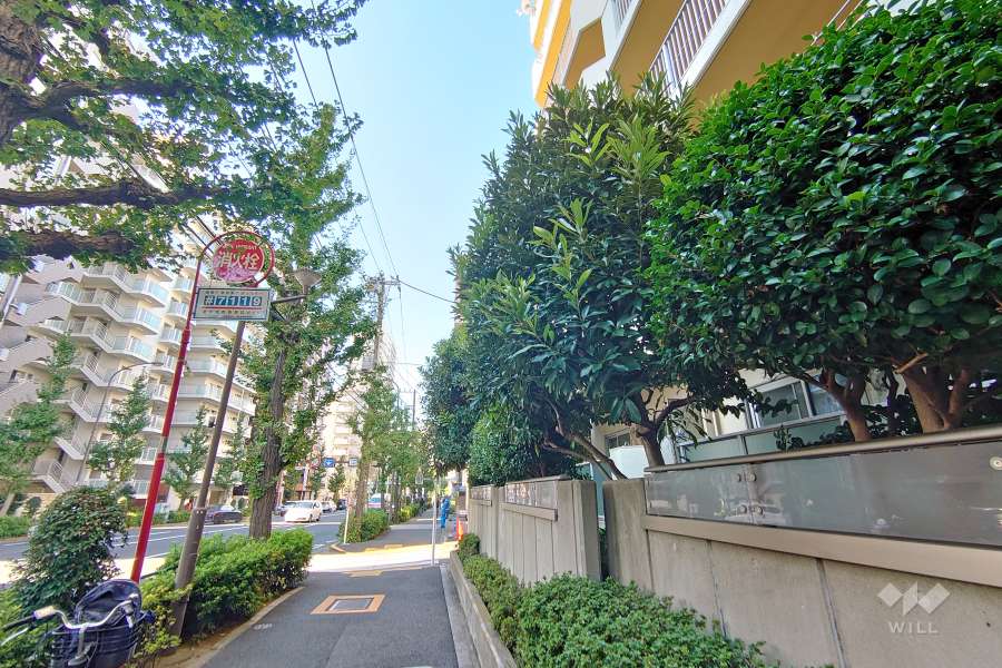 敷地南側の前面道路（東側から）