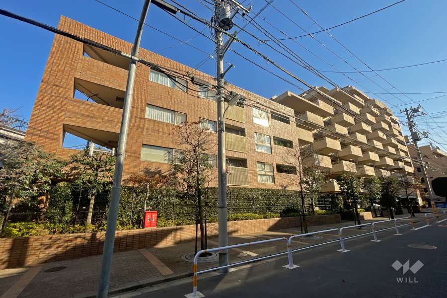 アデニウム武蔵小山の外観（西側から）