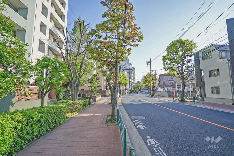 敷地西側の前面道路は池上通りです（北側から）。