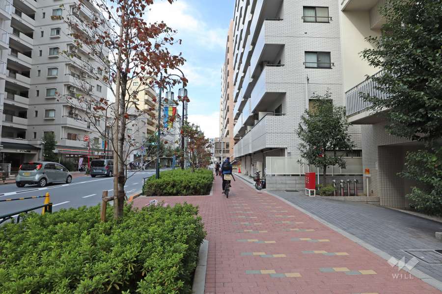 敷地南西側の前面道路