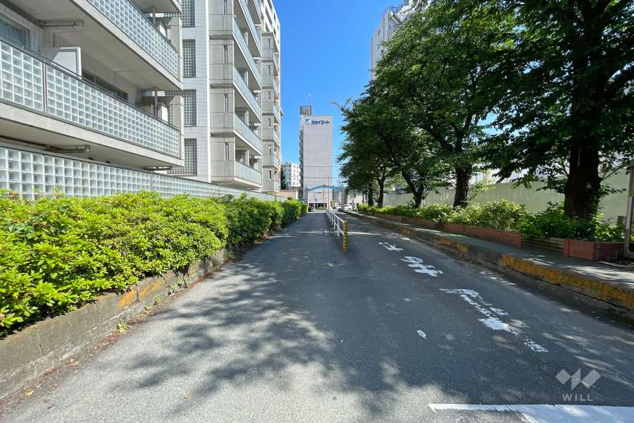 敷地南西側の前面道路