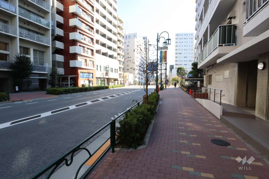 敷地北東側の前面道路