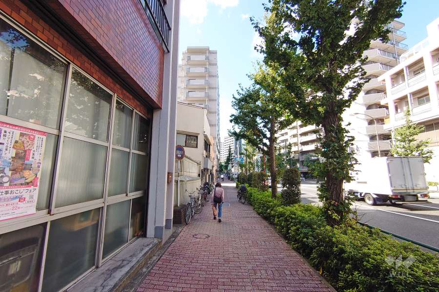 敷地北側の前面道路（西側から）