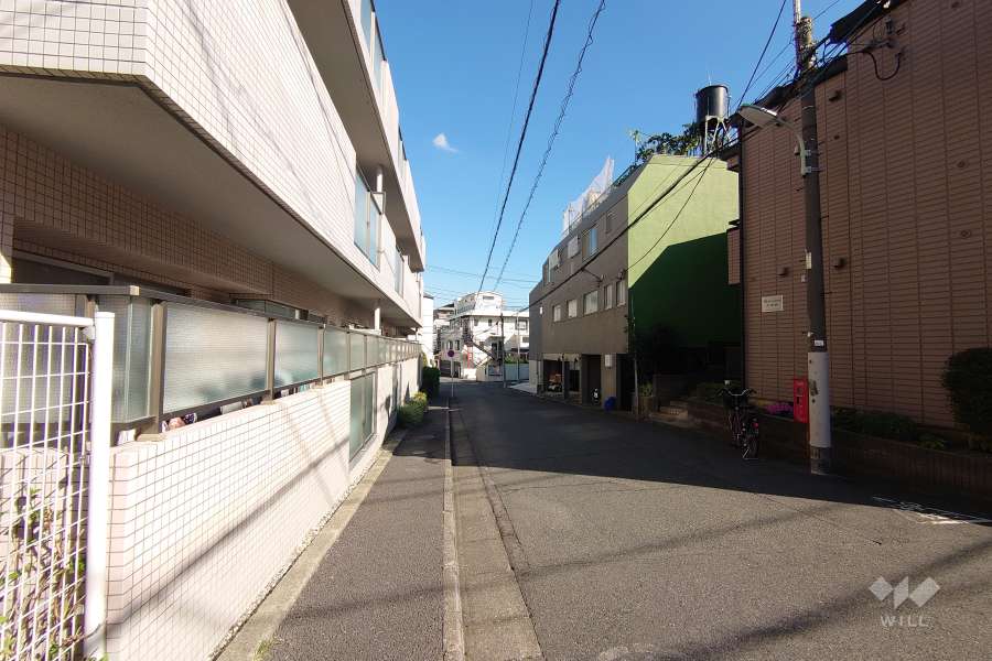 敷地南側の前面道路（西側から）