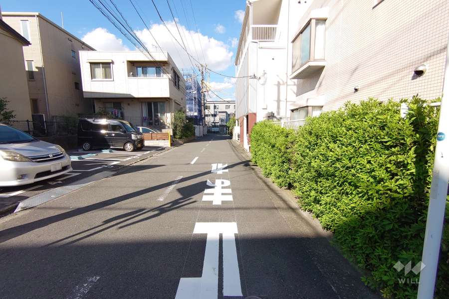 敷地西側の前面道路（南側から）