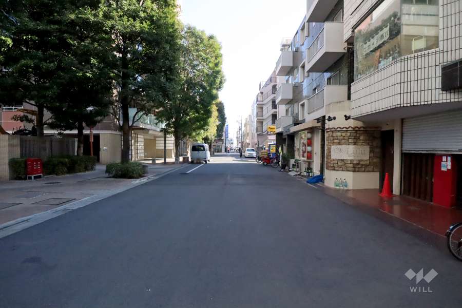 敷地南西側の前面道路