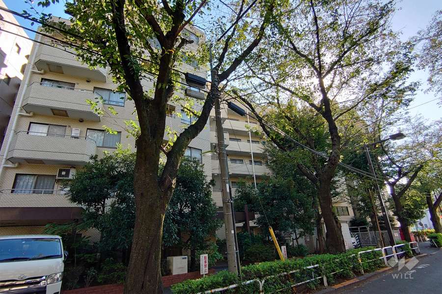 マートルコート目黒不動の外観（北東側から）