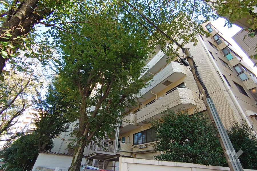 マートルコート目黒不動の外観（北西側から）-(2)