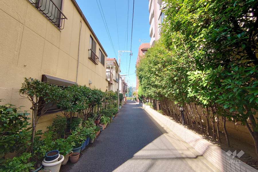 敷地西側の前面道路