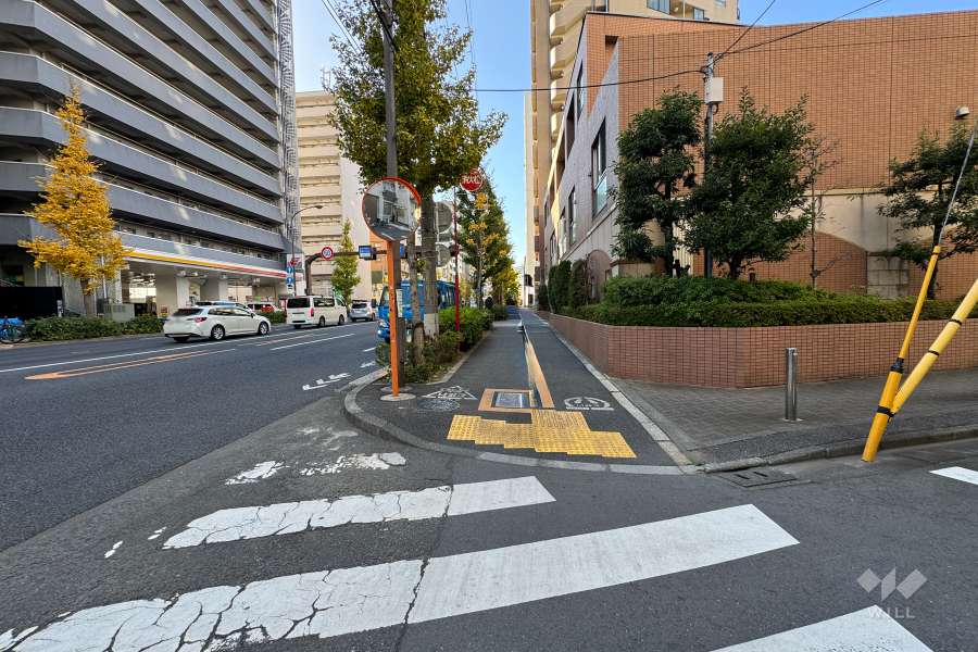 敷地南東側の前面道路　