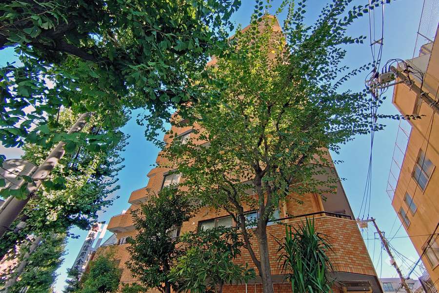 ライオンズマンション西中延の外観（南西側から）