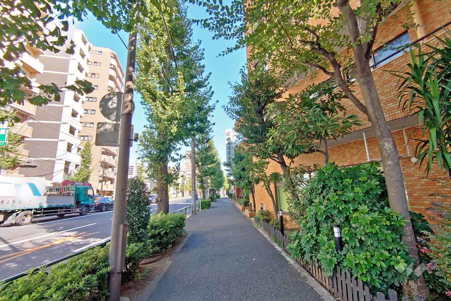 敷地西側前面道路は中原街道です（南側から）。
