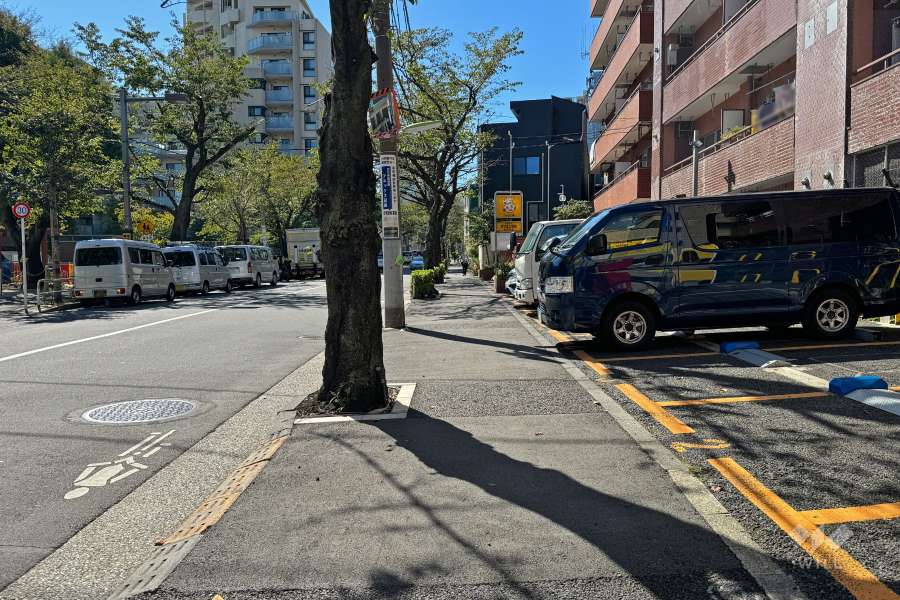 敷地南東側の前面道路（北東側から）
