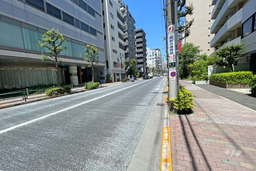 敷地南西側の前面道路（南東側から）