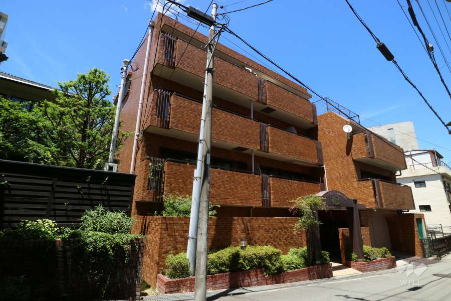 ライオンズマンション宝塚の外観（南西側から）