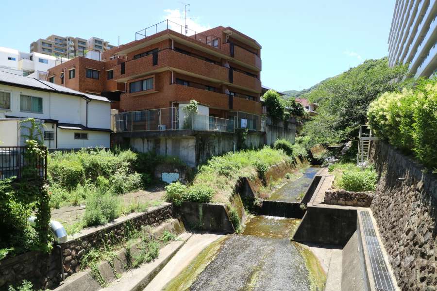 敷地北側を流れる塩谷川
