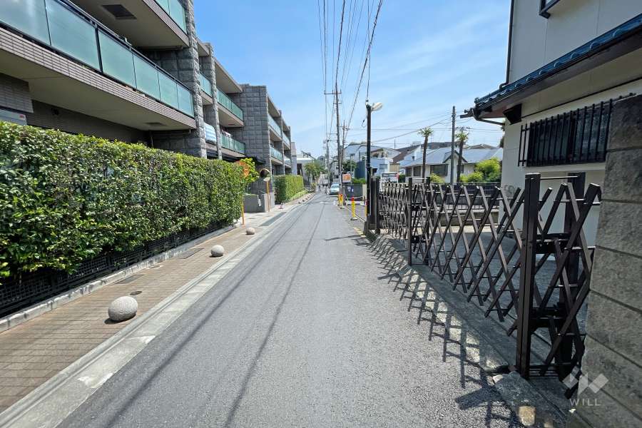 敷地南側の前面道路（西側から）