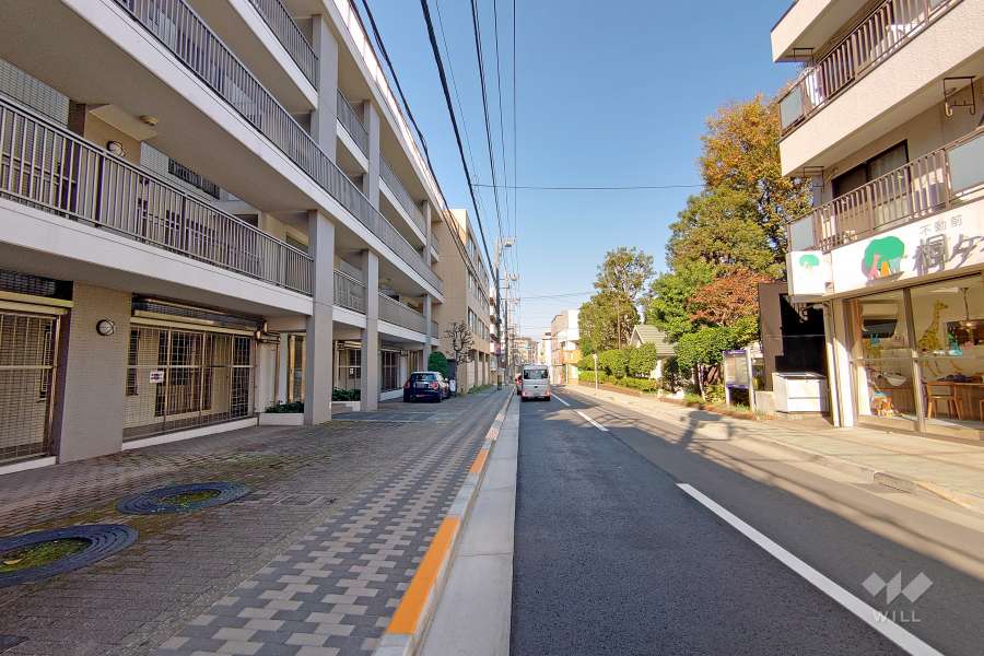 敷地北東側の前面道路（南東側から）