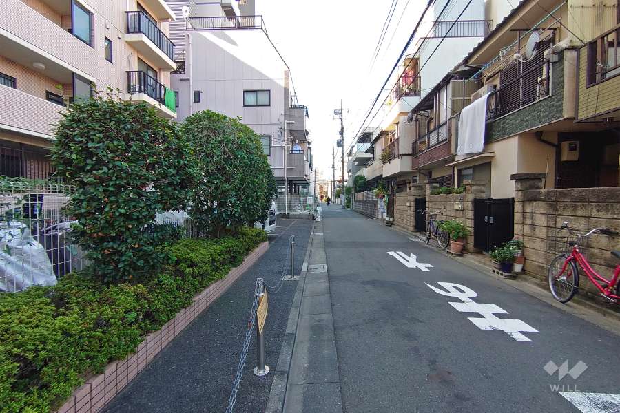 敷地北西側の前面道路（北東側から）