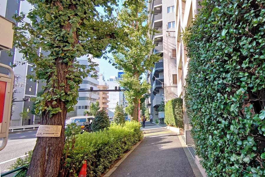 敷地南東側は都道2号（中原街道）に面しています。