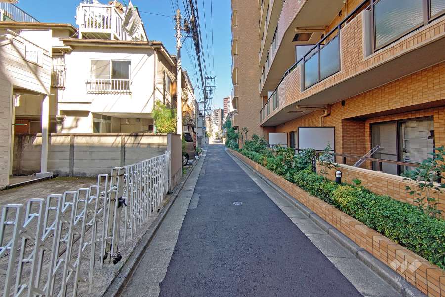 敷地の西側前面道路（南側から）