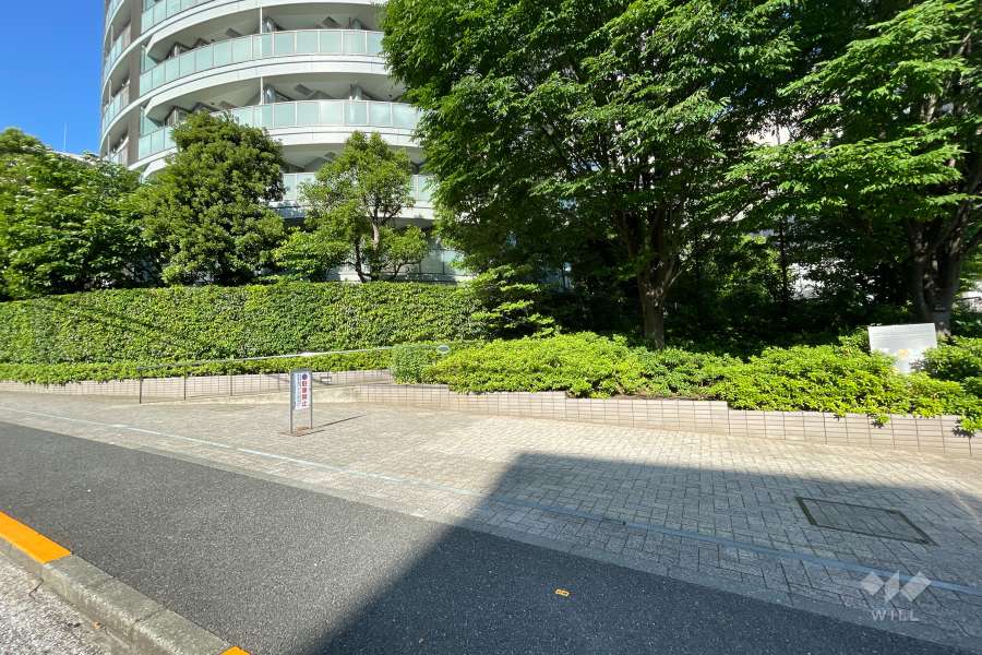 敷地西側の前面道路　