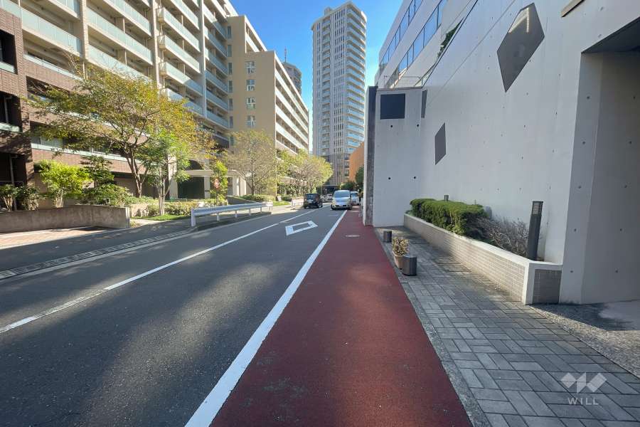 敷地東側の前面道路（北側から）