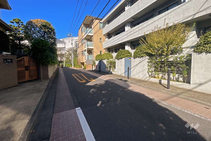 敷地西側の前面道路（南側から）