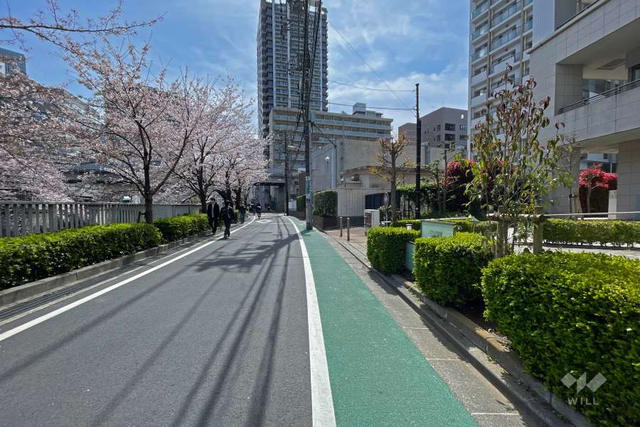 敷地北東側の前面道路（北西側から）